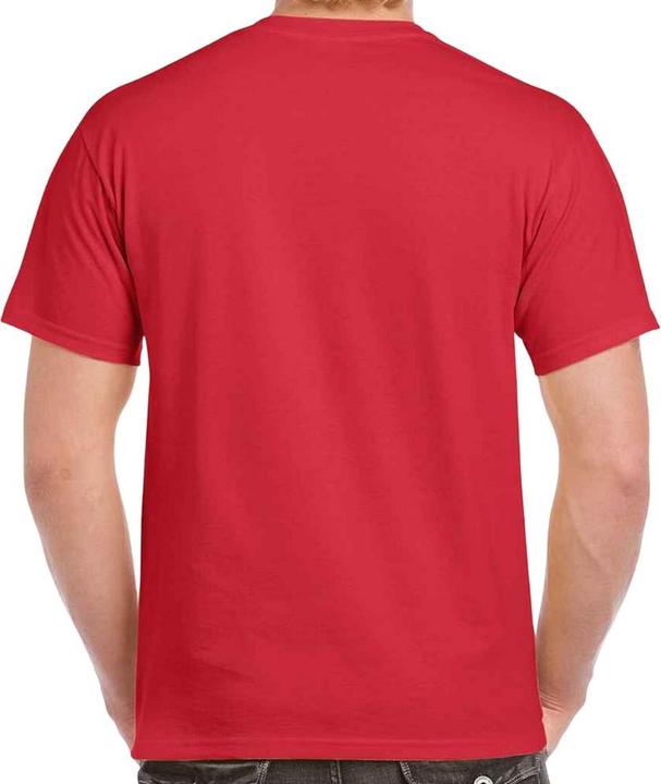 Actual product image Gildan Mens Heavy Cotton T-Shirt (L)