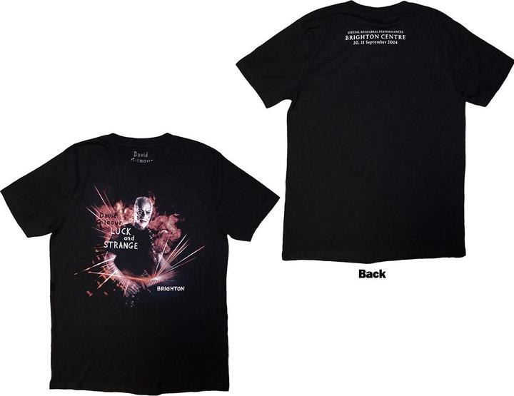 Image du produit David Gilmour Luck & Strange Brighton (S)