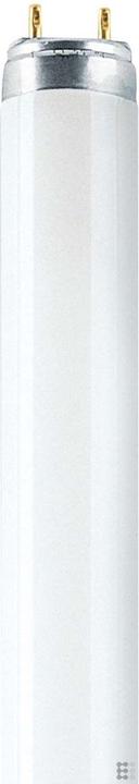 Immagine prodotto Osram Natura (G13, 30 W, 1300 lm, 10 x, B)