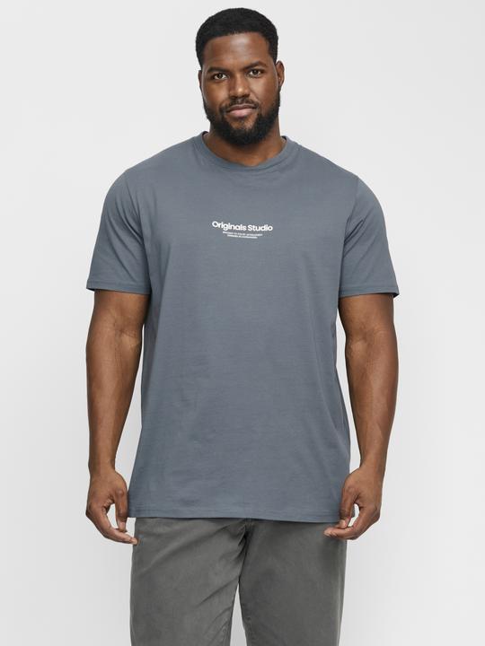 Image du produit Jack & Jones Jorvesterbro Tee Ss Crew Neck Noos Pls (XXL)