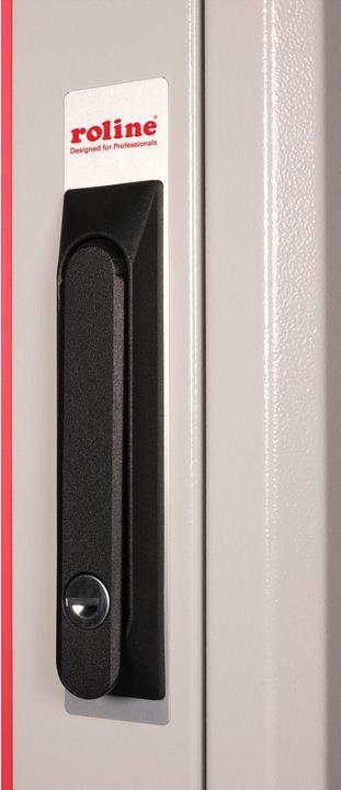 Actual product image Roline 19-inch network cabinet Basic 42 U (42 RU, 19 inch rack)