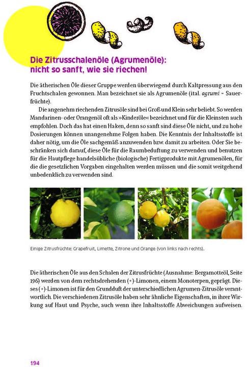 Produktbild Das grosse Buch für die gesunde Haut (Deutsch, Ruth von Braunschweig, Ingeborg Stadelmann, Natalie Stadelmann, 2022)