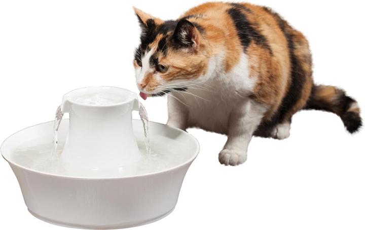 Actual product image Drinkwell PetSafe Avalon (2 l)