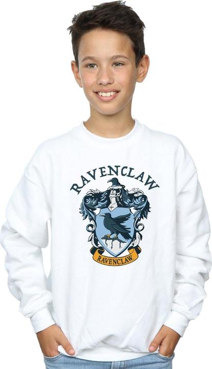Produktbild Sweatshirt Jungen (140, 146)
