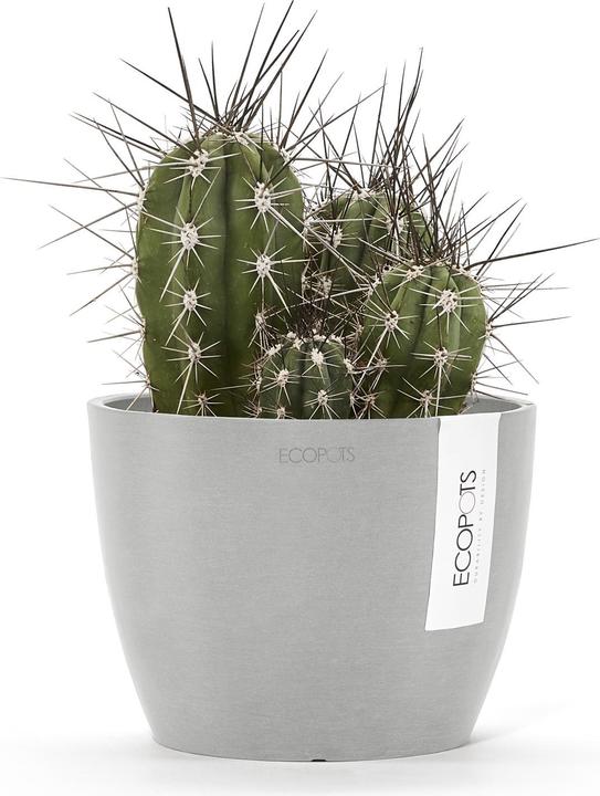 Immagine prodotto Ecopots Stoccolma (16 cm)