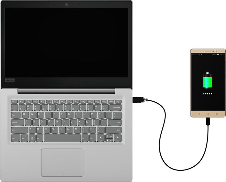 Image du produit Lenovo 120s-14iap (14", Intel Pentium N4200, 4 Go, 128 Go)
