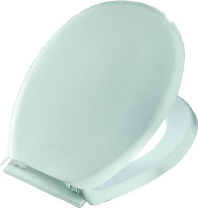 Actual product image Bisk Malwa