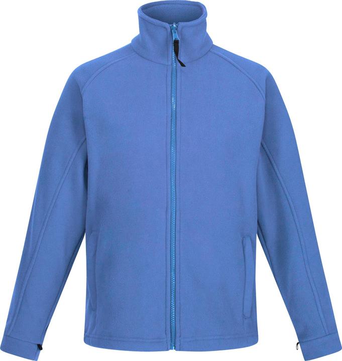 Bleu roi