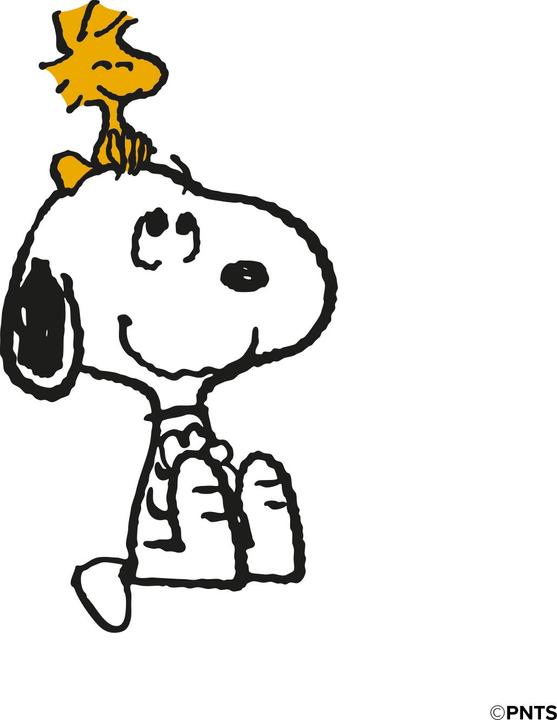Image du produit SBS case&me Peanuts cover cam logo iPhone 14 design4 Snoopy All Smiles Classic (Apple iPhone 14)