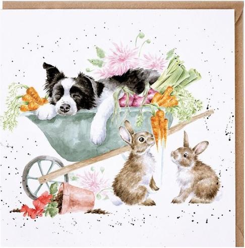 Produktbild Wrendale Design Karte - Collie SLEEPING ON THE JOB Wrendale Designs (1 Stk.)