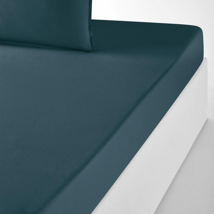 Actual product image La Redoute Interieurs Percale Bio (180 x 200 cm)