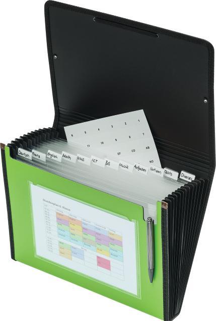 Actual product image Kolma Fan folder A4 superstrong 12 tabs blue (A4, 1 x)