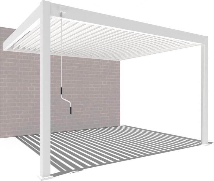 Weide Wandpergola Deluxe Plus 3x4m Weiss (400 cm, 300 cm)