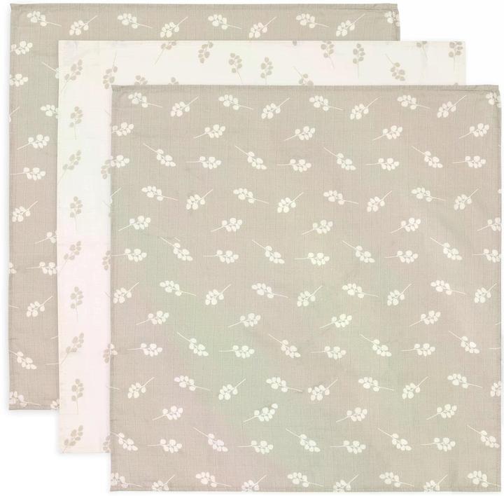 Beige, Vert olive