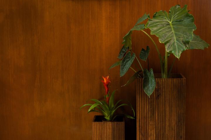 Actual product image Dutchbone Ribble Plant Stand (set of 2) (35 x 80 x 35 cm)