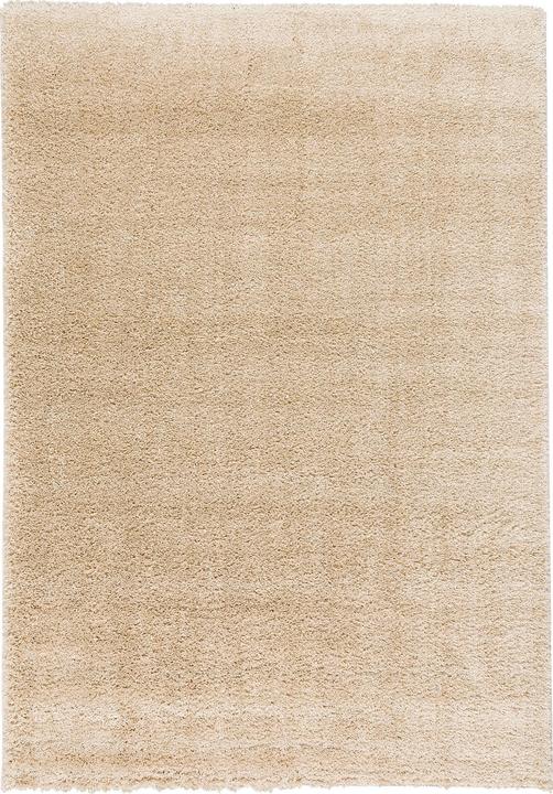 Produktbild Pergamon Hochflor Langflor Teppich Aloha (120 x 170 cm)