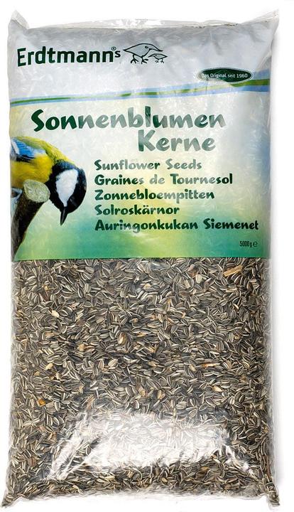 Immagine prodotto Erdtmann Semi di girasole 5kg (1 x, 5 kg)