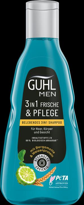 Guhl Men 3in1 Shampoo Frische & Pflege (250 ml, Flüssiges Shampoo)