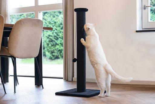 Actual product image Beeztees Cat tree Serpa (90 cm, Black)