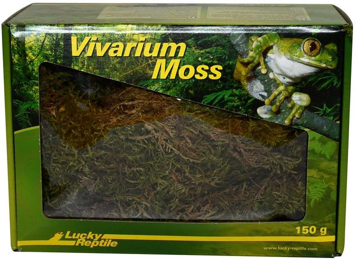Lucky Reptile Mousse de vivarium