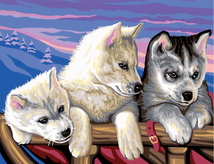 Produktbild Malen Nach Zahlen Huskies
