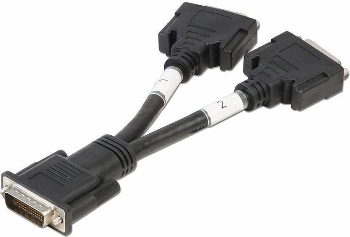 Lindy Câble adaptateur DMS59/2x DVI-I(F) Longueur env. 16cm (0.16 m, DVI)