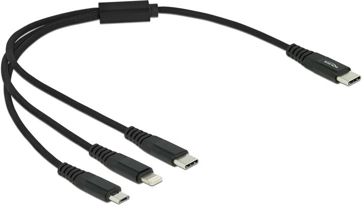 Actual product image Delock 3in1 (0.30 m, USB 2.0)