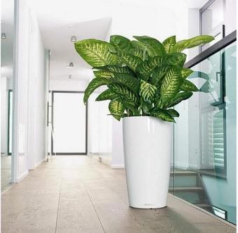 Immagine prodotto Lechuza RONDO Premium. (40 cm)