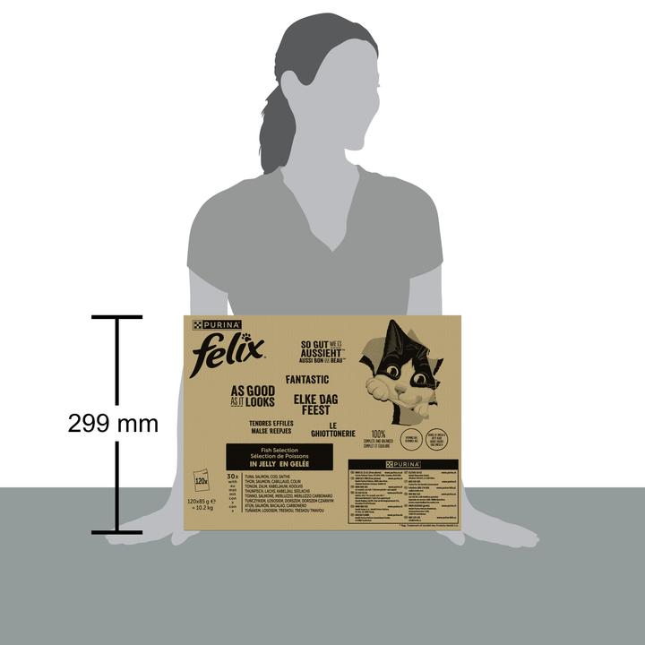 Actual product image Felix Fish (tuna, salmon, cod, saithe) (Adult, 120 pcs., 10200 g)