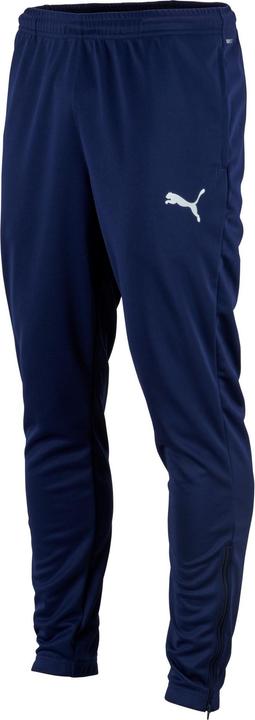 Actual product image Puma teamRISE Poly Training Pants-657390 (XL)