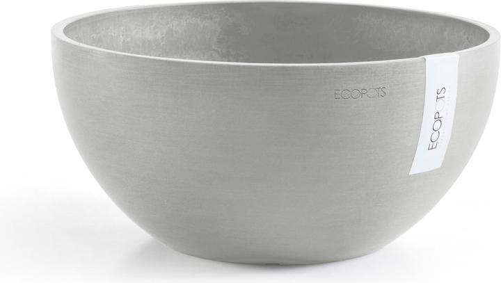 Bianco grigio