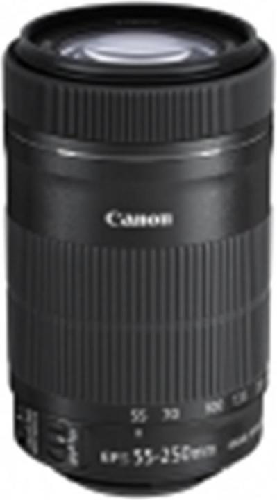 Canon EF-S 55-250mm f/4-5,6 IS STM (Canon EF-S, APS-C / DX)