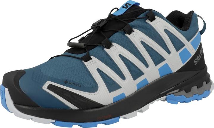 Actual product image Salomon XA PRO 3D V8 GTX MEN'S (45 1/3)