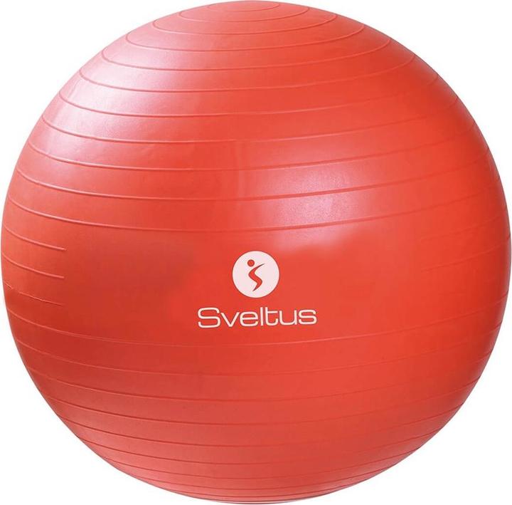 Exercise ball (55 cm)