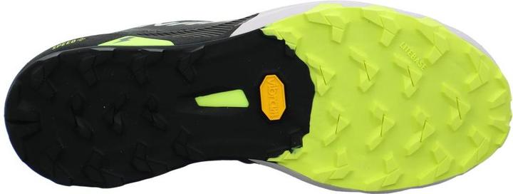 Produktbild Dynafit Alpine DNA 2 Laufschuhe Unisex (43)