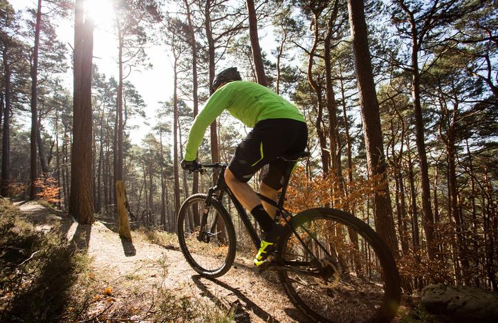 Actual product image Votec VC Comp - Cross Country Hardtail 27,5"/29" - (38 cm)