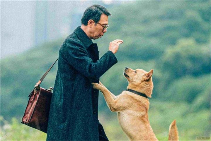 Image du produit Hachiko - Une amitié pour l'éternité! (Blu-ray, 2023, Allemand)