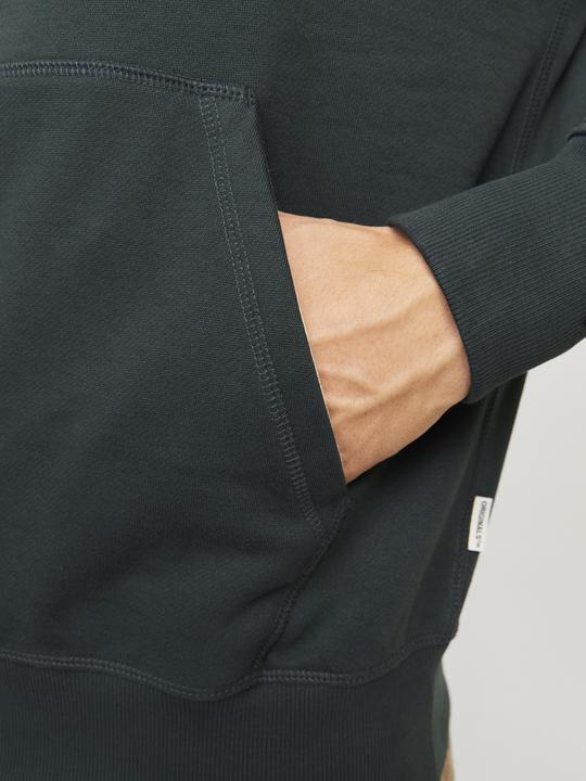 Image du produit Jack & Jones Jorfrederiksberg Sweat Hood Sn (XS)