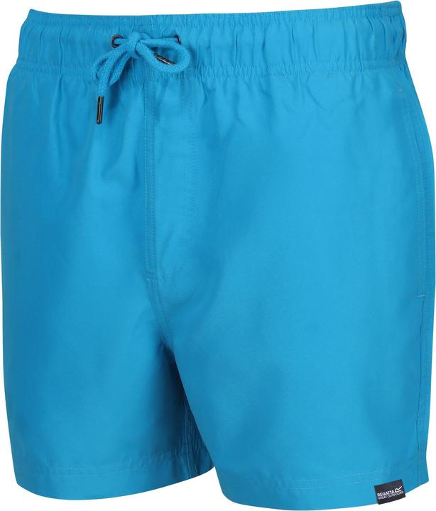 Actual product image Regatta Mens Mawson II Swim Shorts (XXL)