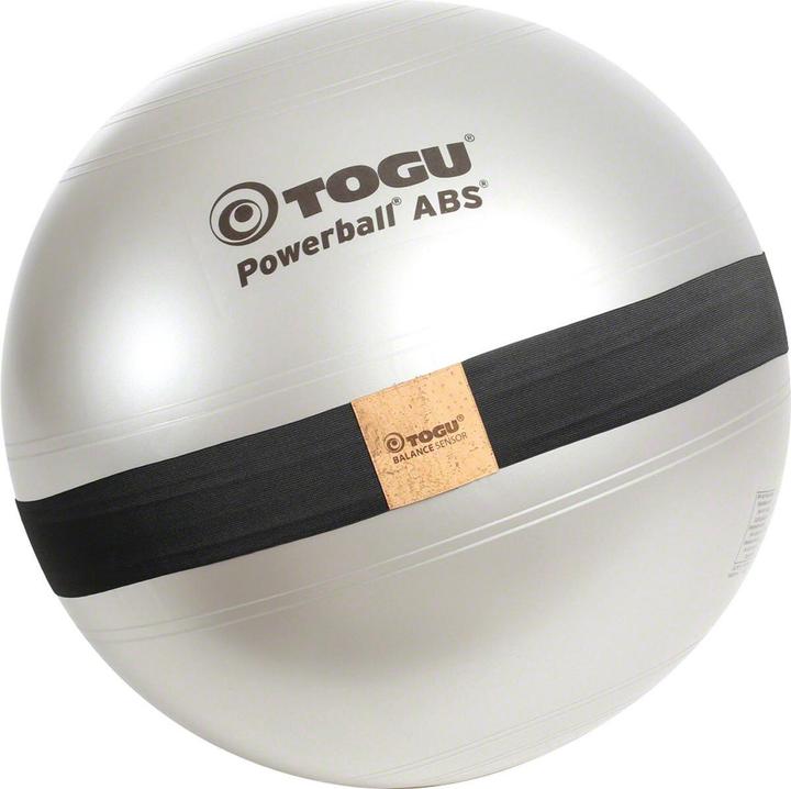Actual product image Togu Balance Sensor Powerball, 55cm, silver (55 cm)