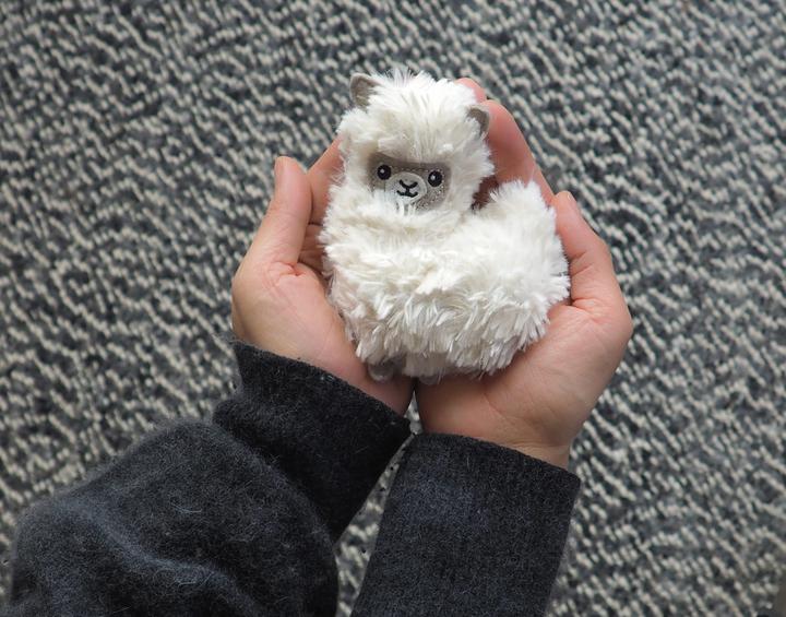 Produktbild Bitten Pocket Pal Fluffy Llama