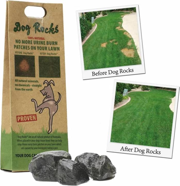 Productafbeelding Dog Rocks Parker (Hond)