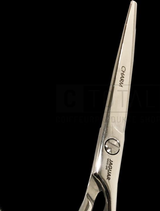 Produktbild Jaguar HS 36575 Charm (14.61 cm)