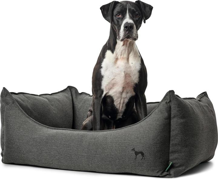 Image du produit Hunter Livingston (Chien)