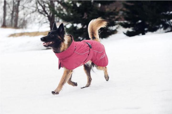 Actual product image Rukka Stormy (45, Dog coat)