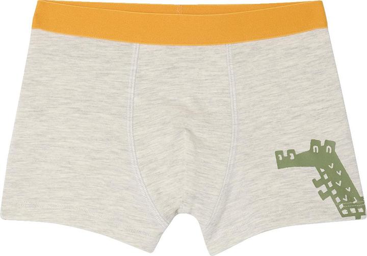 Produktbild Vertbaudet Bio-Kollektion: 5er-Pack Jungen Stretch-Boxershorts Dschungel (110, 5er Pack)