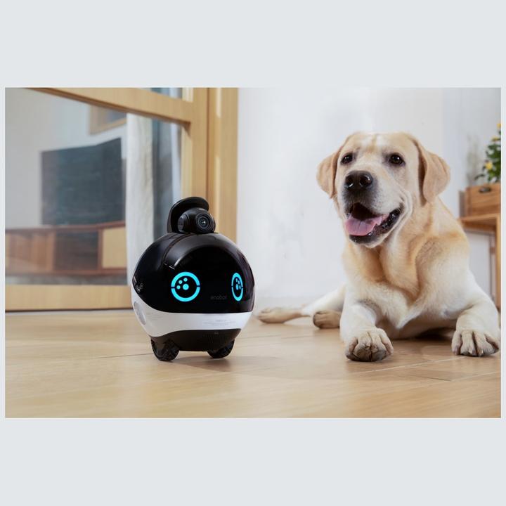 Produktbild Enabot EBO X Überwachungsroboter (3840 x 2160 Pixels)