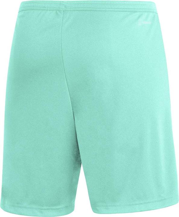Actual product image adidas Entrada 22 Shorts Men (L)