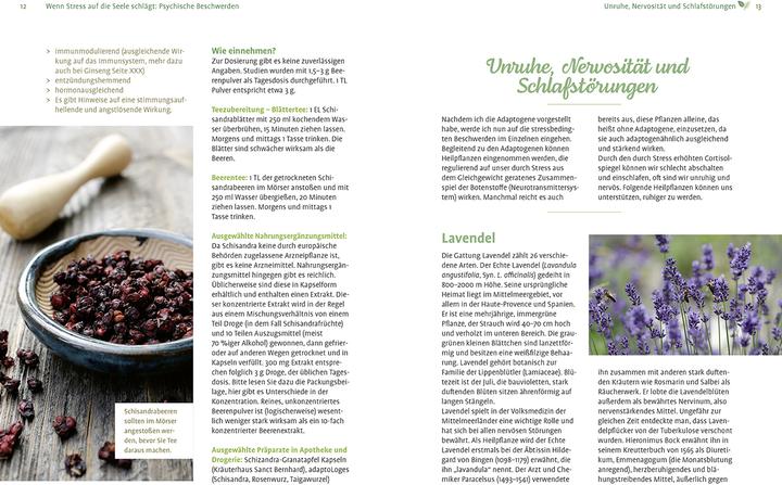 Image du produit Girsch:Mit Naturheilkunde Stress bewält (Allemand, Michaela Girsch, 2024)