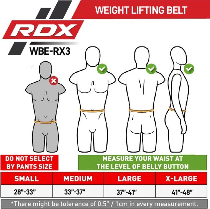 Actual product image Rdx Weight Lifting Belt Eva Curve Rx3 Gray-Xl
